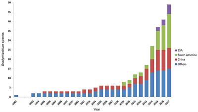 Diversity of Bradyrhizobia in Subsahara Africa: A Rich Resource